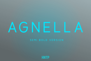 Agnella Semi-Bold: A Modern Sans Serif for Digital Brands