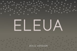 Eleua Bold: A Clean Sans Serif Typeface for Modern Branding