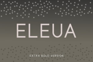 Eleua Extra Bold: The Typeface That Powers Clear Campaigns