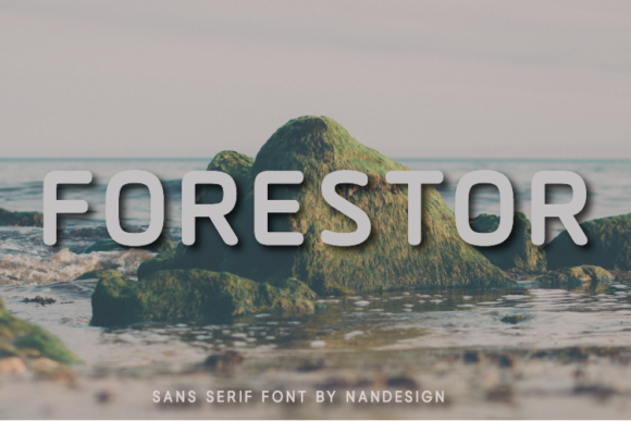 Forestor: The Bold Sans Serif Typeface for Modern Web Design