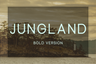 Jungland Bold: The Premium Typeface for Polished Brand Identity