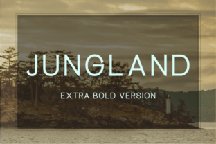 Jungland Extra Bold: The Geometric Typeface for Scroll-Stopping Campaigns