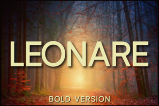 Leonare Bold: The Perfect Typeface for Handmade Branding