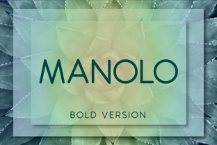 Manolo Bold: The Premium Sans Serif Typeface for Polished Branding