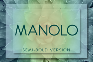 Manolo Semi-Bold: A Modern Sans Serif for Editorial Design