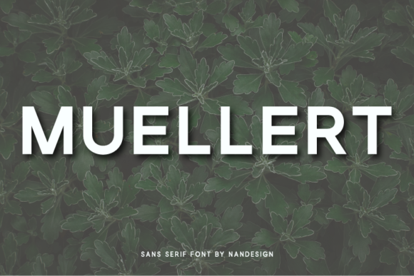 Muellert: The Bold Sans Serif Font for Stronger Brand Identity
