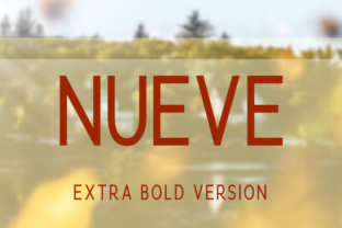 Nueve Extra Bold: A Designer's Real-World Review