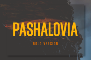 Pashalovia Bold: The Modern Sans Serif Typeface for High-Impact Web Design