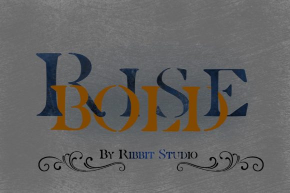Rise Bold Typeface Review for Modern Web Design