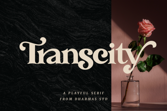 Transcity: The Elegant Serif Font for Bold Brand Identities