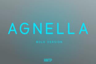 Why Agnella Bold Became My Go-To Sans Serif for Digital Branding