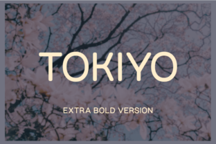 Why Tokiyo Extra Bold Is the Perfect Sans Serif for Modern Editorial Design