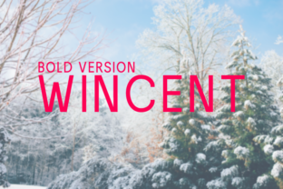 Wincent Bold: A Geometric Sans Serif for Friendly Brand Identities