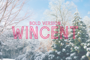 Wincent Outline Bold: The Perfect Geometric Typeface for Handmade Brands